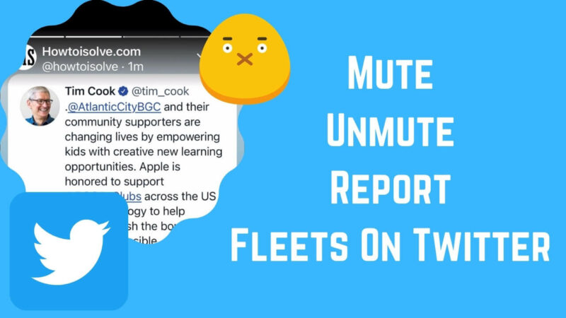 Mute Unmute Report Fleets On Twitter