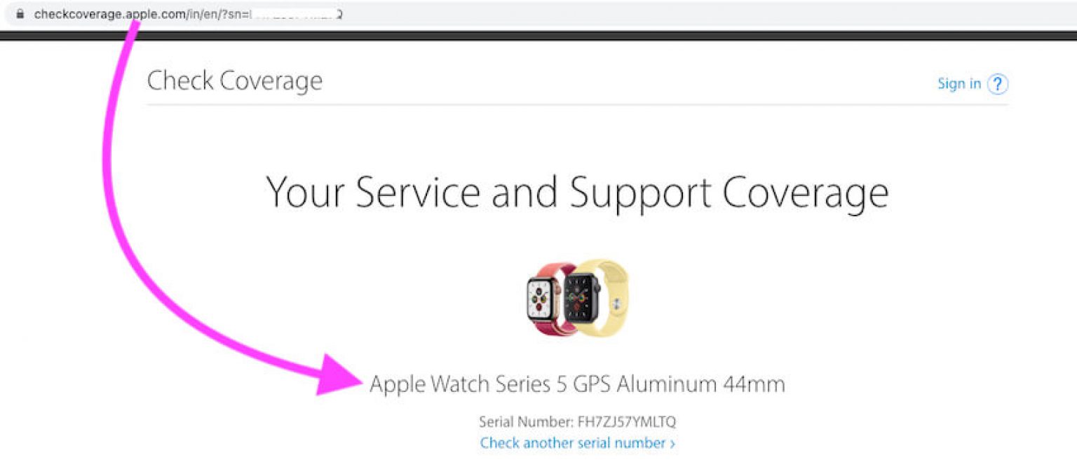 How Can I Tell What Series Apple Watch I Have? Identify Model