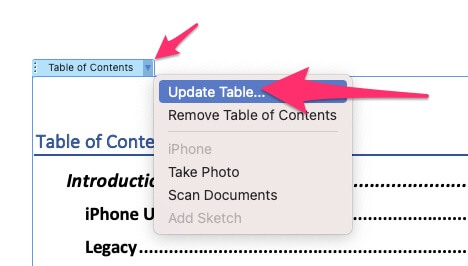 Update Table of content for apply Appendix