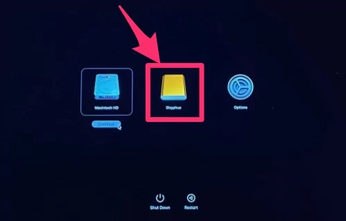 Select Externally Connected Hard Drive as a Startup Disk on Mac
