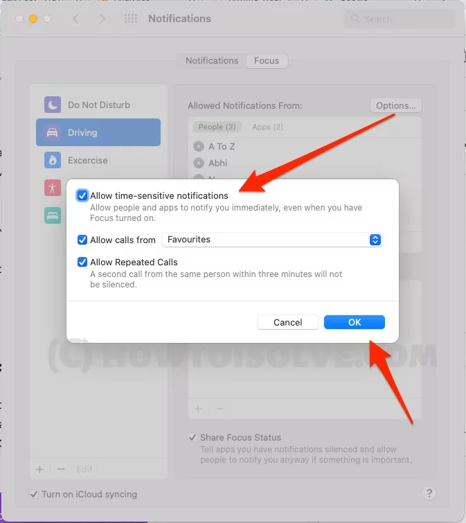 allow-time-sensitive-notifications-on-mac