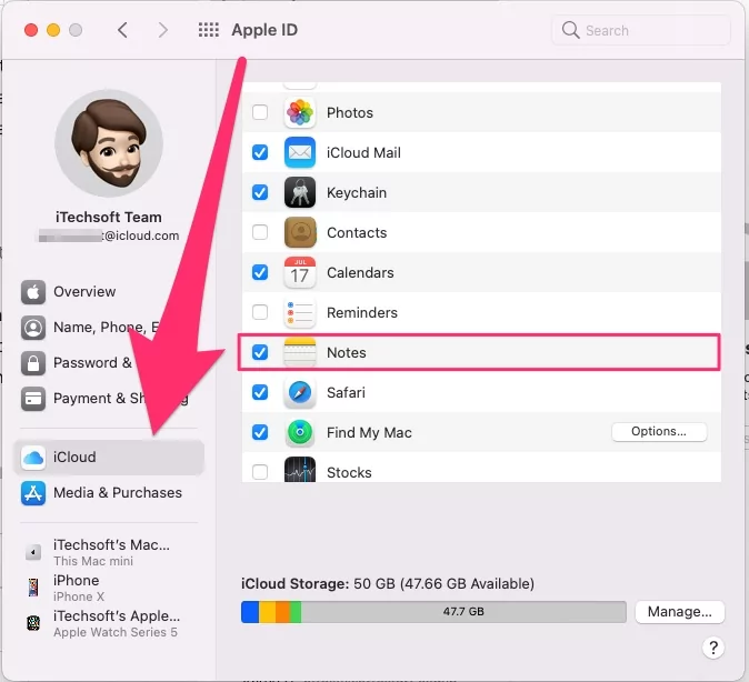 enable-icloud-notes-on-mac-notes-app