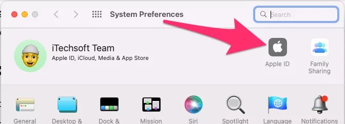 apple-id-settings-in-system-preferences-on-mac