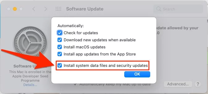 install-system-data-files-and-security-updates-on-mac