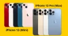 iPhone 13 pro max color options