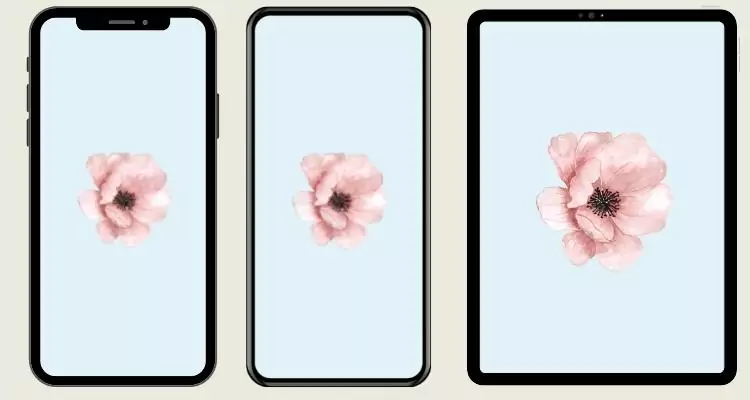 10single-flower-wallpaper-phone