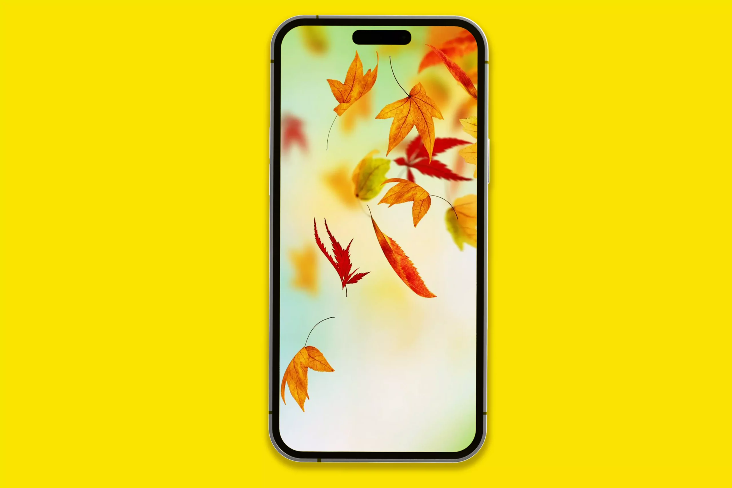 3-fall-leaves-iphone-wallpaper