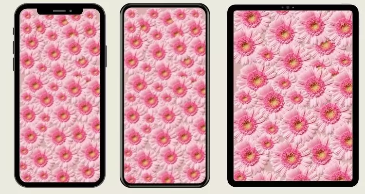 3pink-flower-wallpaper-phone