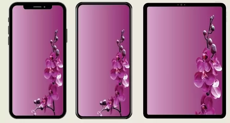 6orchid-flower-wallpaper-phone
