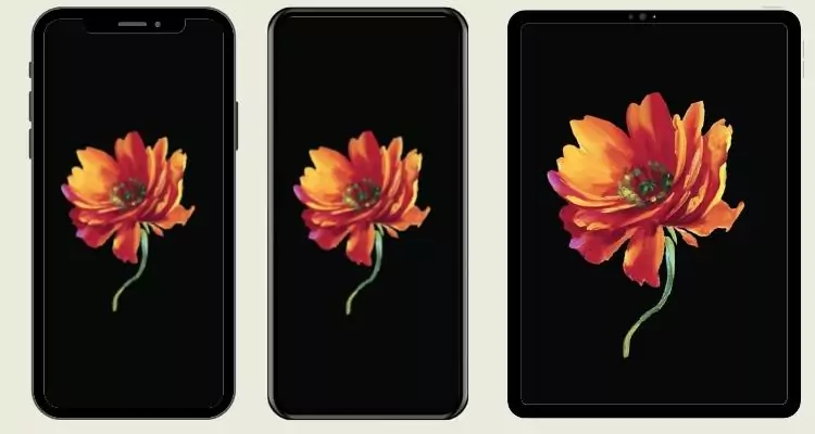 7free-flower-wallpaper-phone