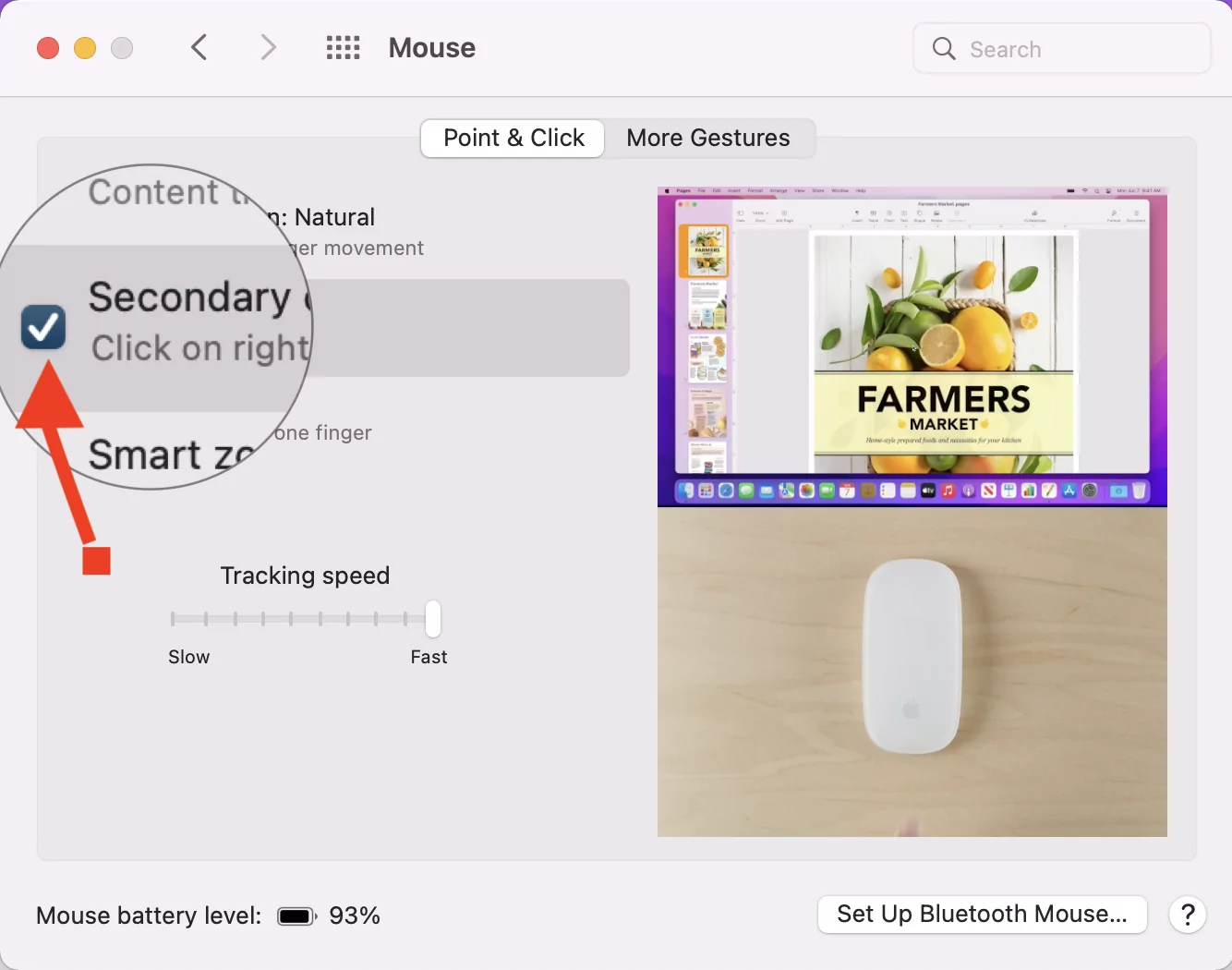 click-on-right-click-side-to-enable-right-click-on-apple-magic-mouse-if-not-working