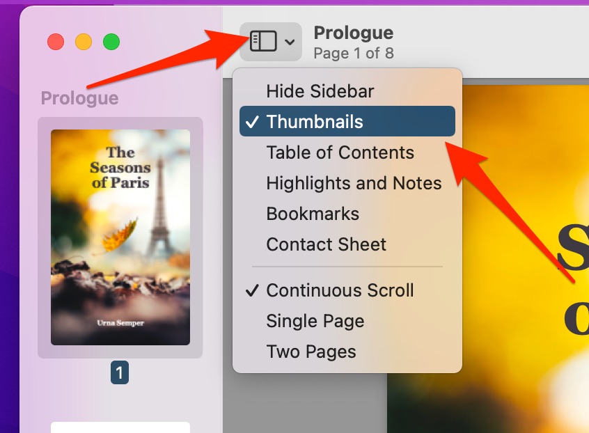 View PDF pages in Thumbnail preview on Mac