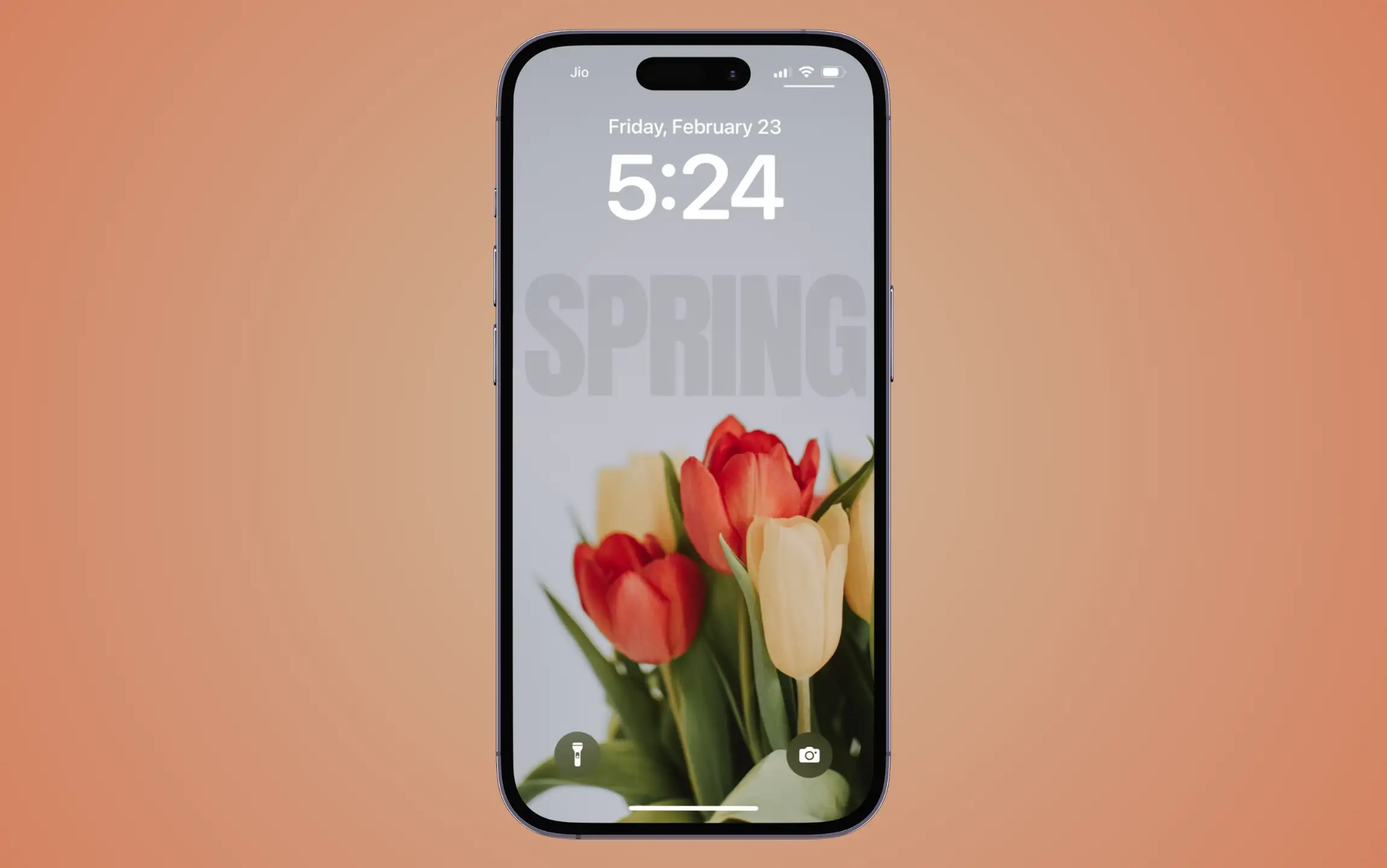 5. Spring tulips iphone wallpaper