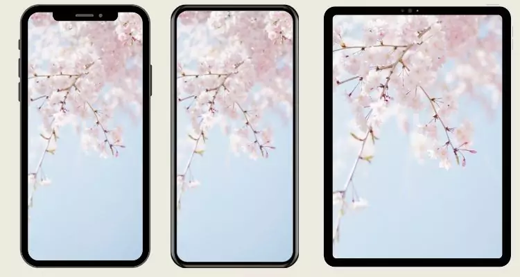 springtime-wallpaper-iphone