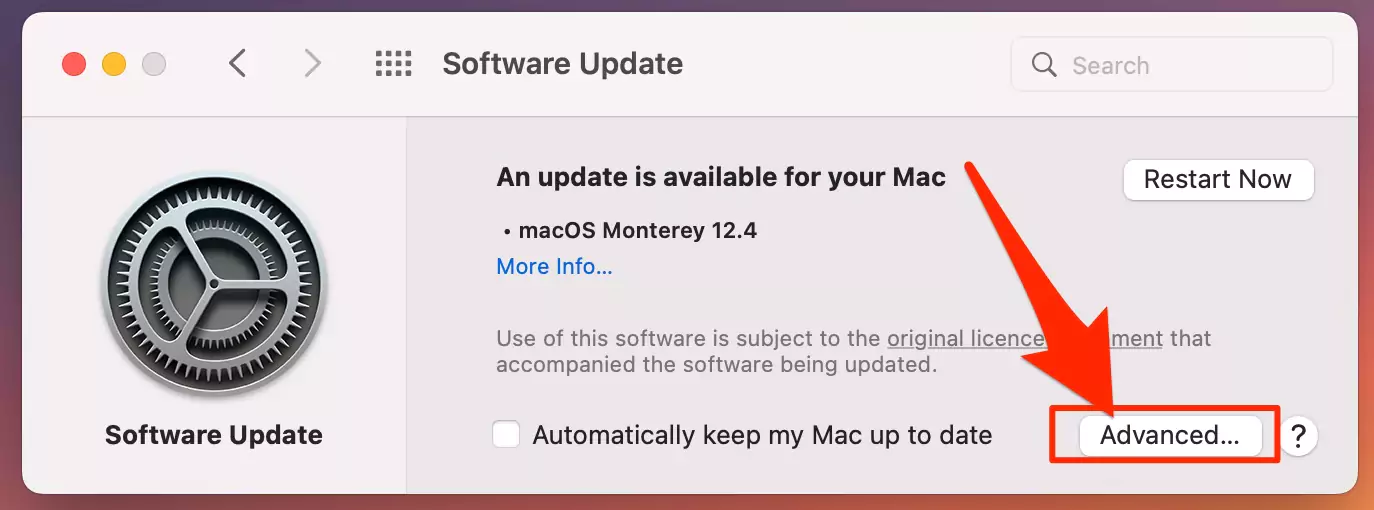advanced-software-update-options-on-mac