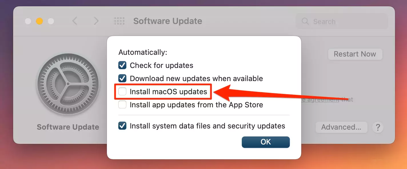 stop-installing-software-update-on-mac-automatically