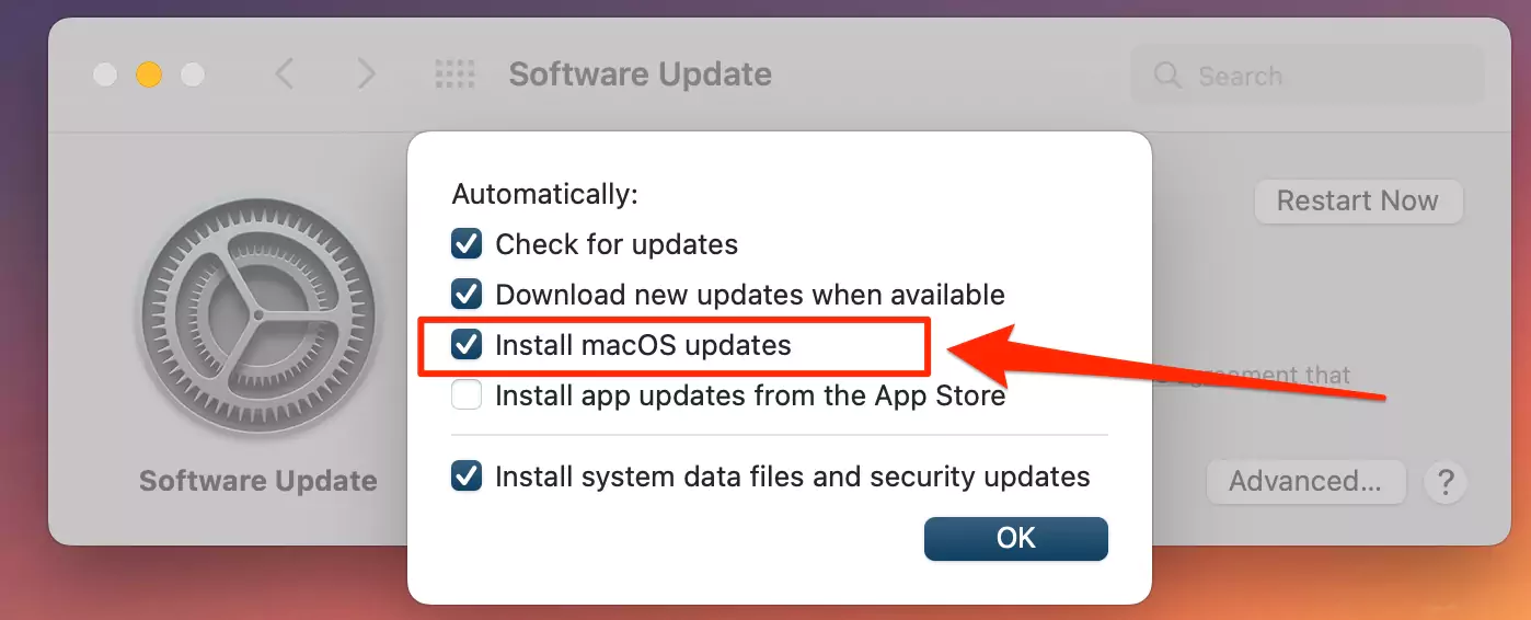 turn-on-automatic-install-software-update-on-mac