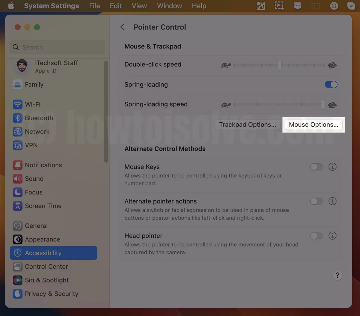Mouse Accessibility Settings on Mac