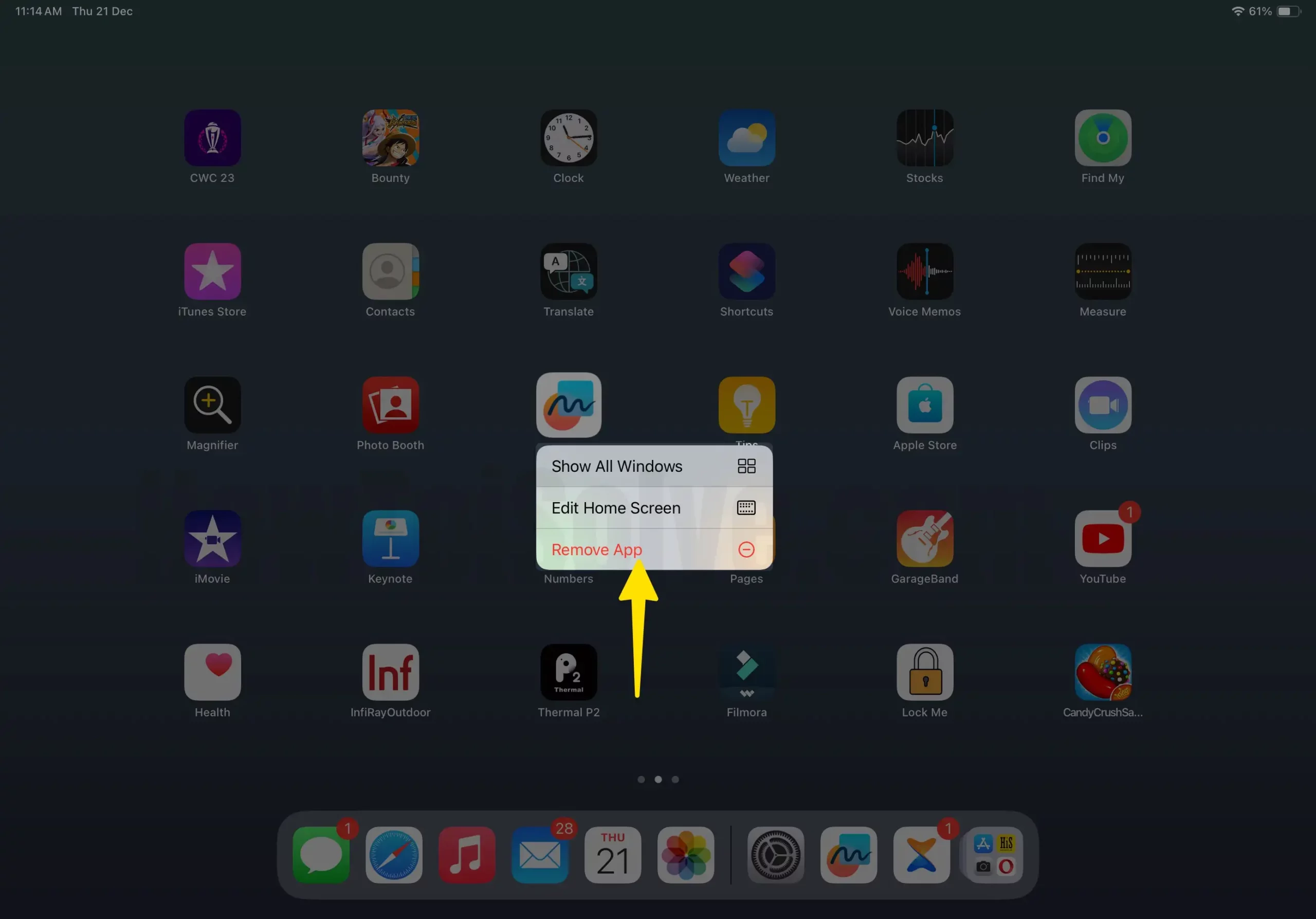 Select remove app in freeform on iPad