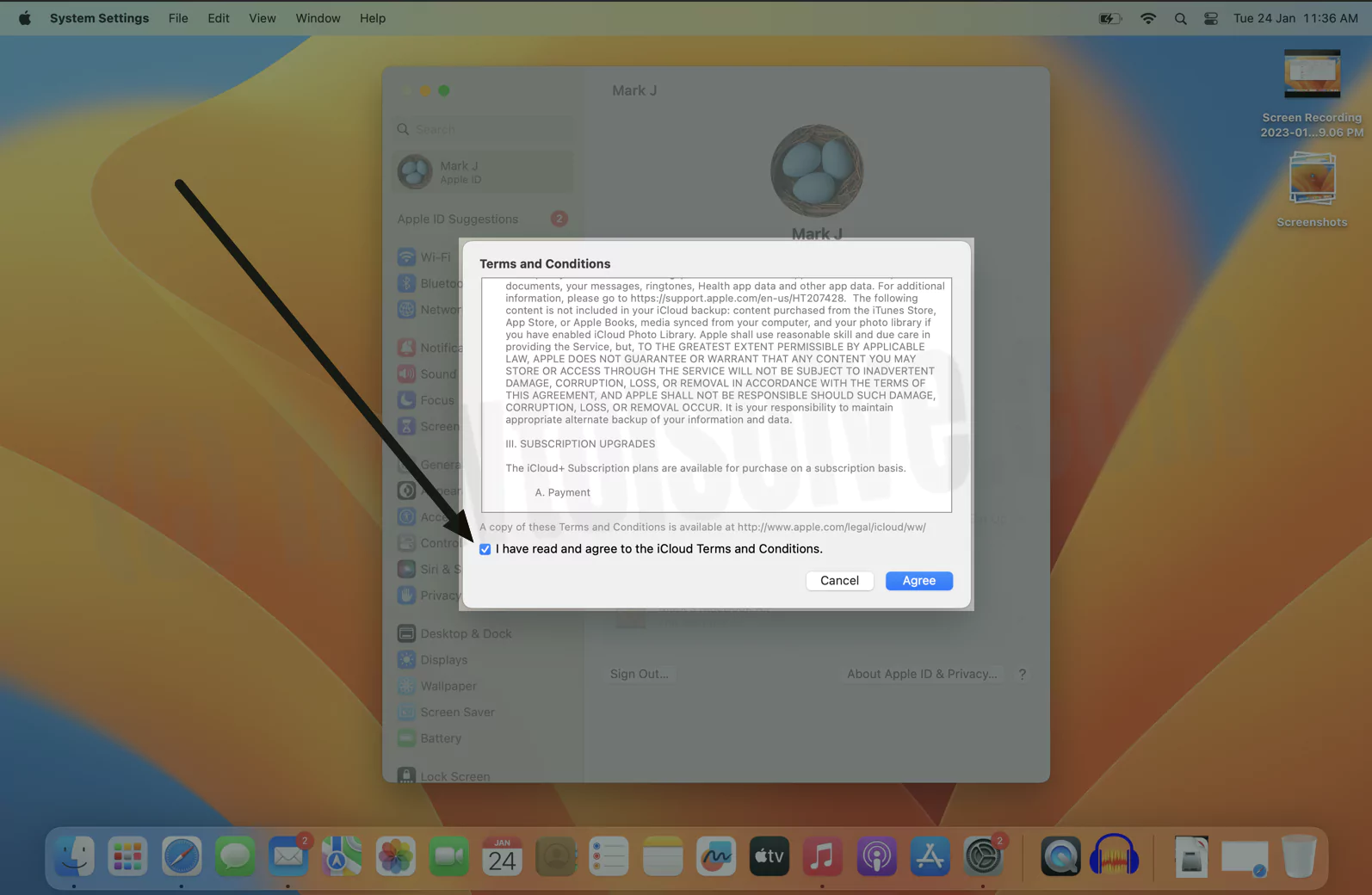 accept-new-icloud-terms-and-conditions-agree-button-grayed-out