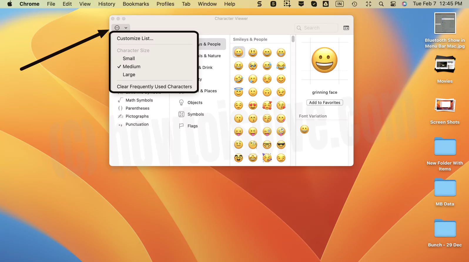 customize-emoji-keyboard-on-mac
