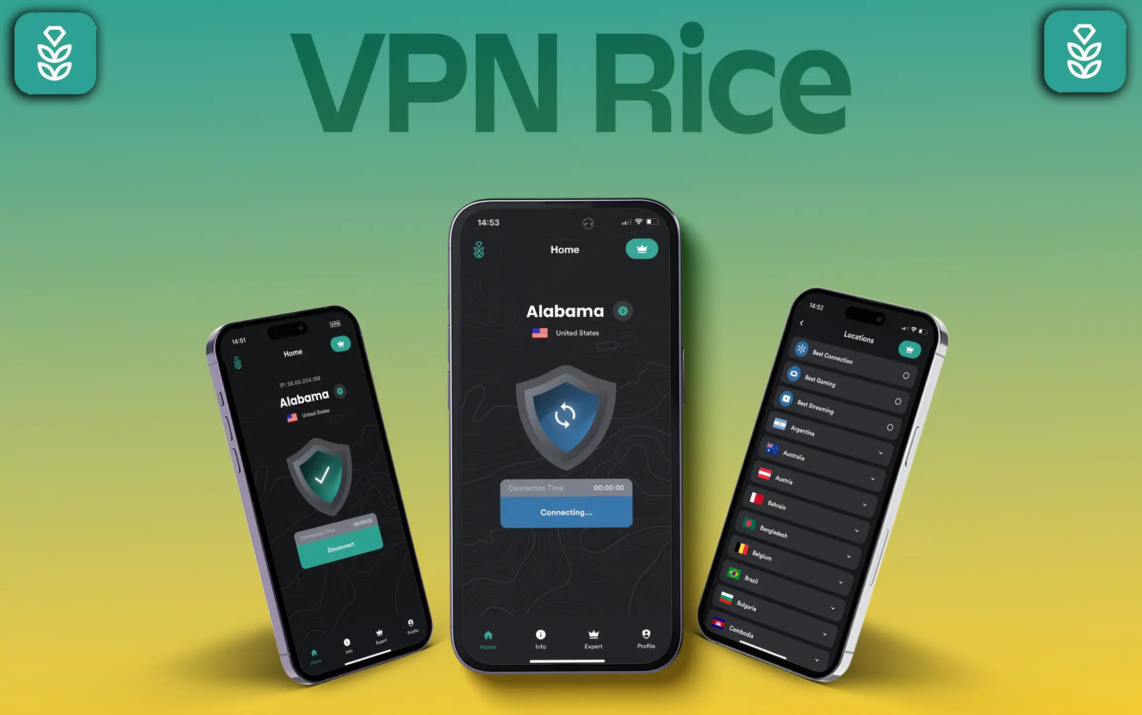 VPN Rice app for iPhone