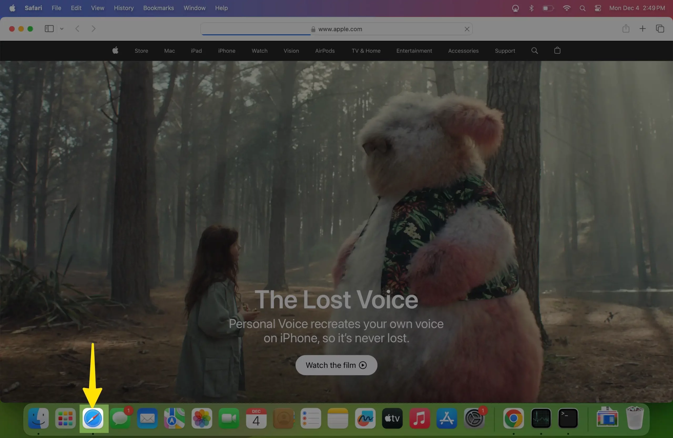 Open the Safari App on Mac