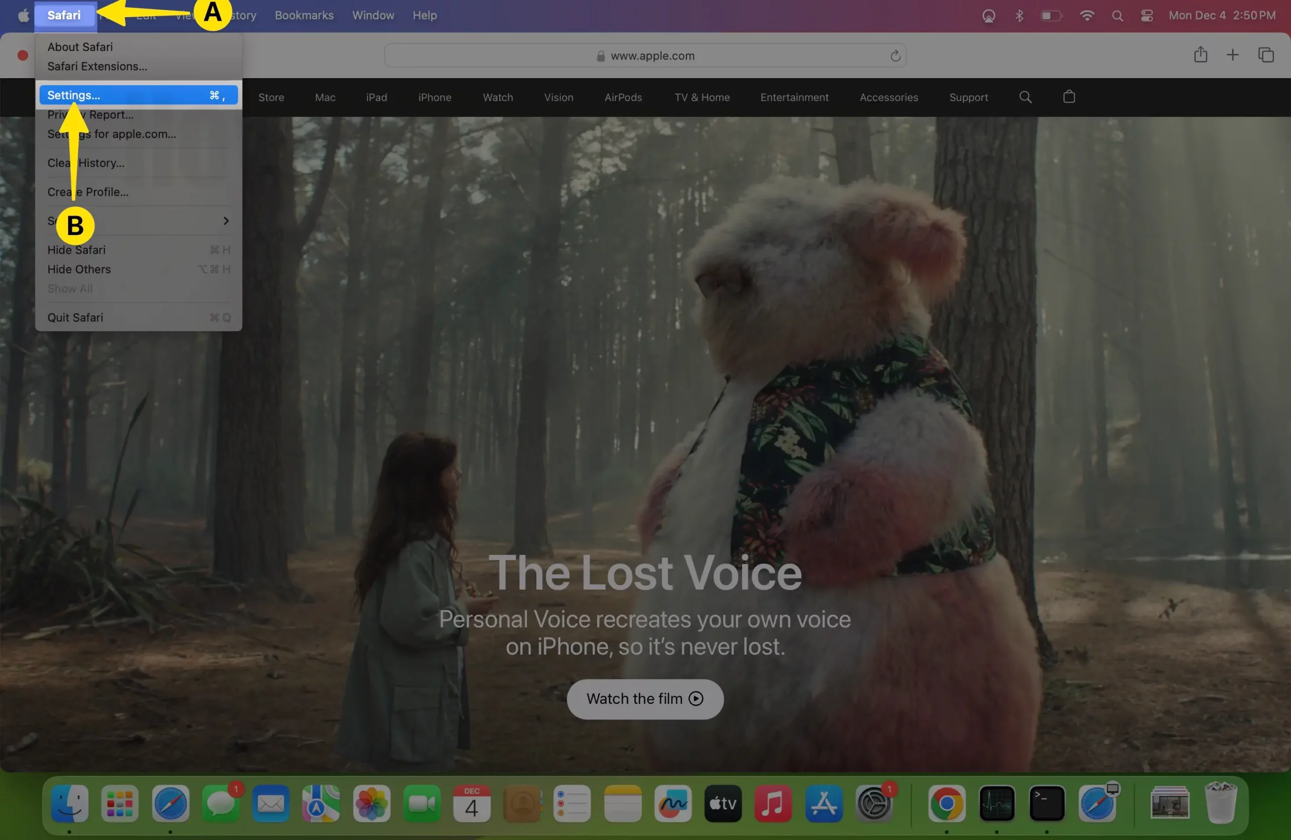 Click on Safari from Menu bar Select Settings on Mac