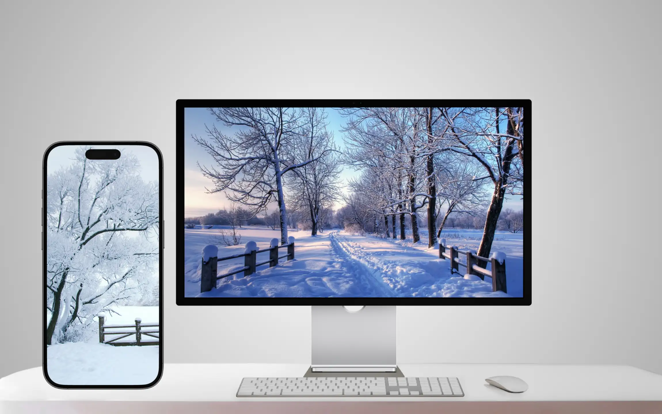 Forest Winter Wallpaper for iPhone and Macbook