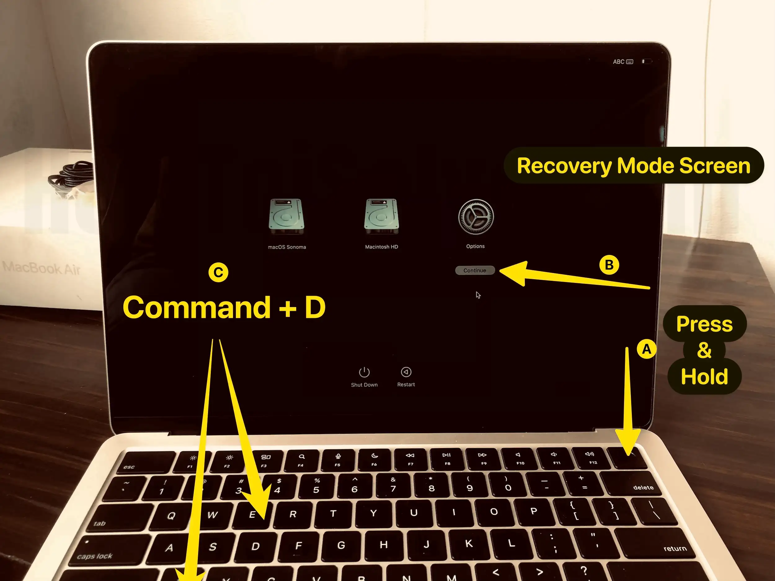 Run Diagnostic on Mac with Apple Silicon Chip