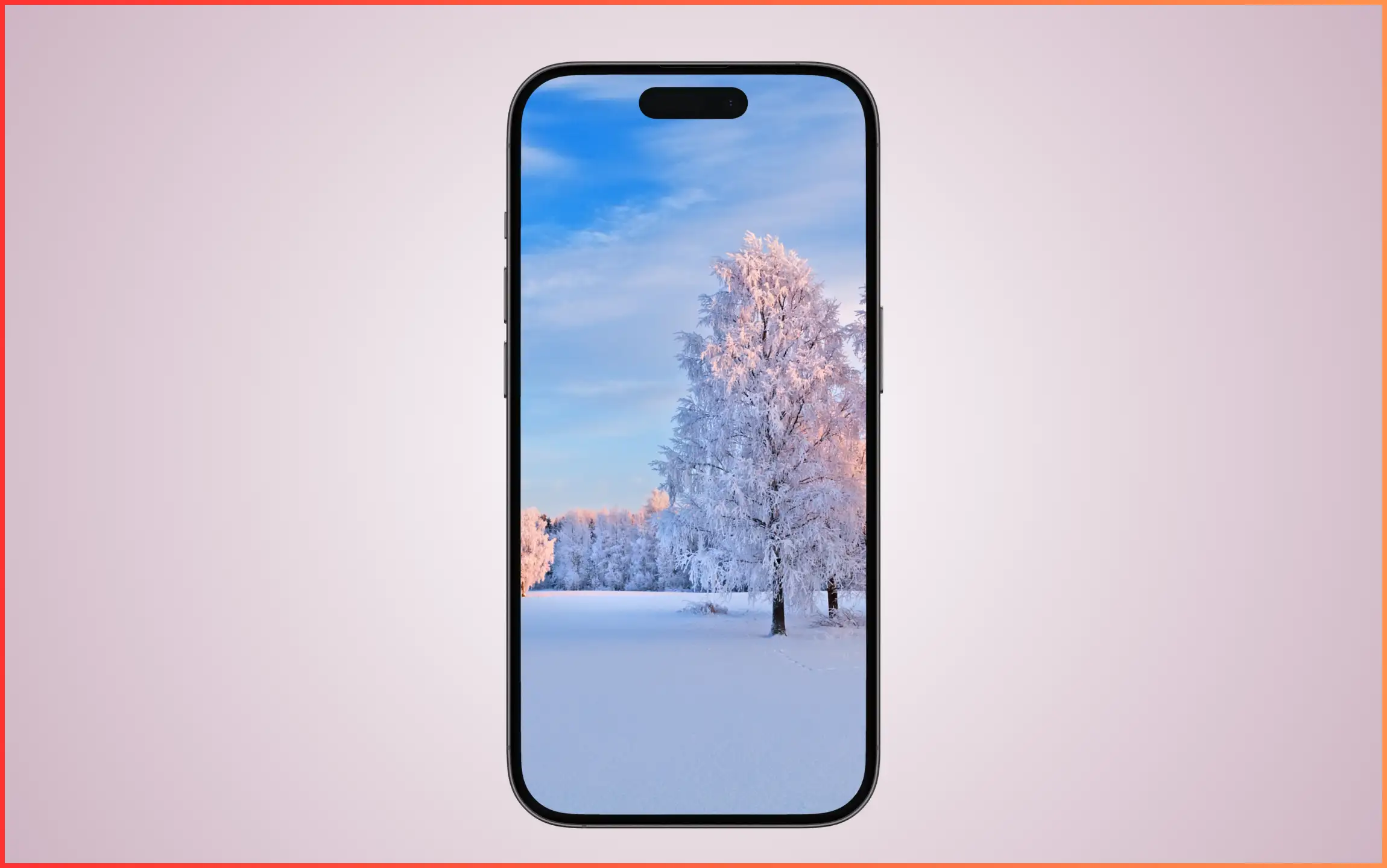 White Nature Wallpaper for iPhone