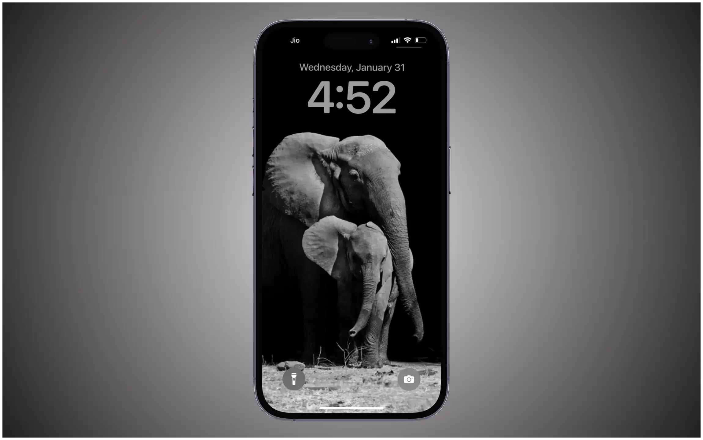Black and White Animal Wallpaper for iPhone