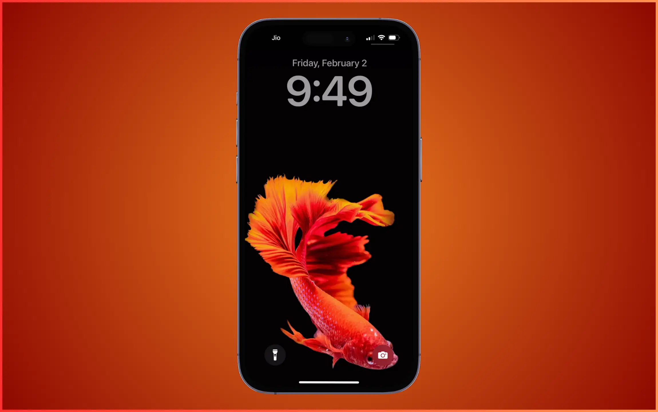 Orange Beautiful Fish Wallpaper for iPhone