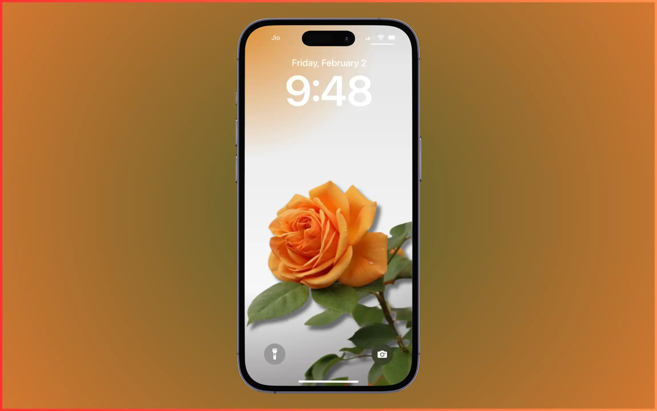 Orange Flower Wallpaper for iPhone