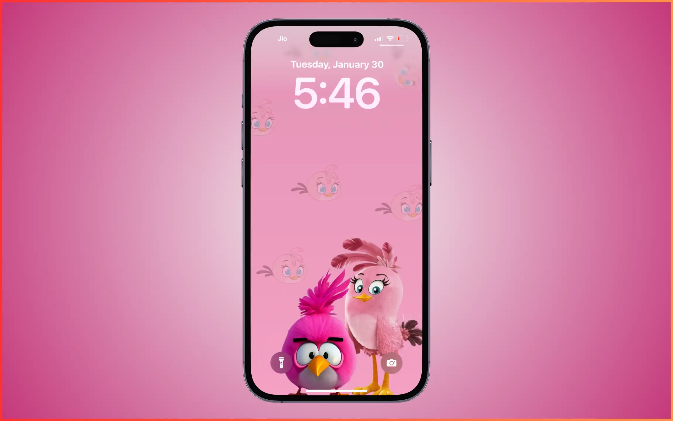 Pink Angry Bird Wallpaper for iPhone