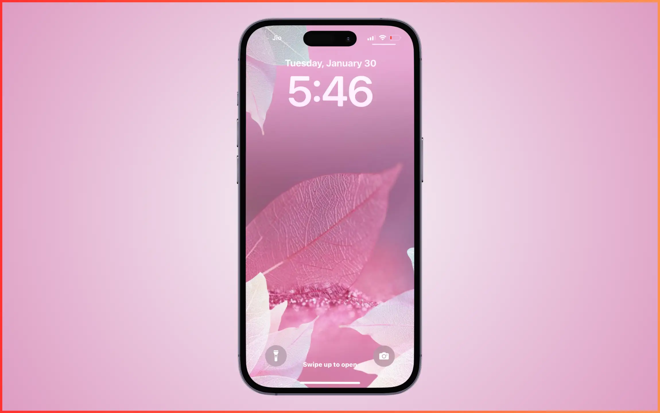 Pink Leaf Wallpaper for iPhone