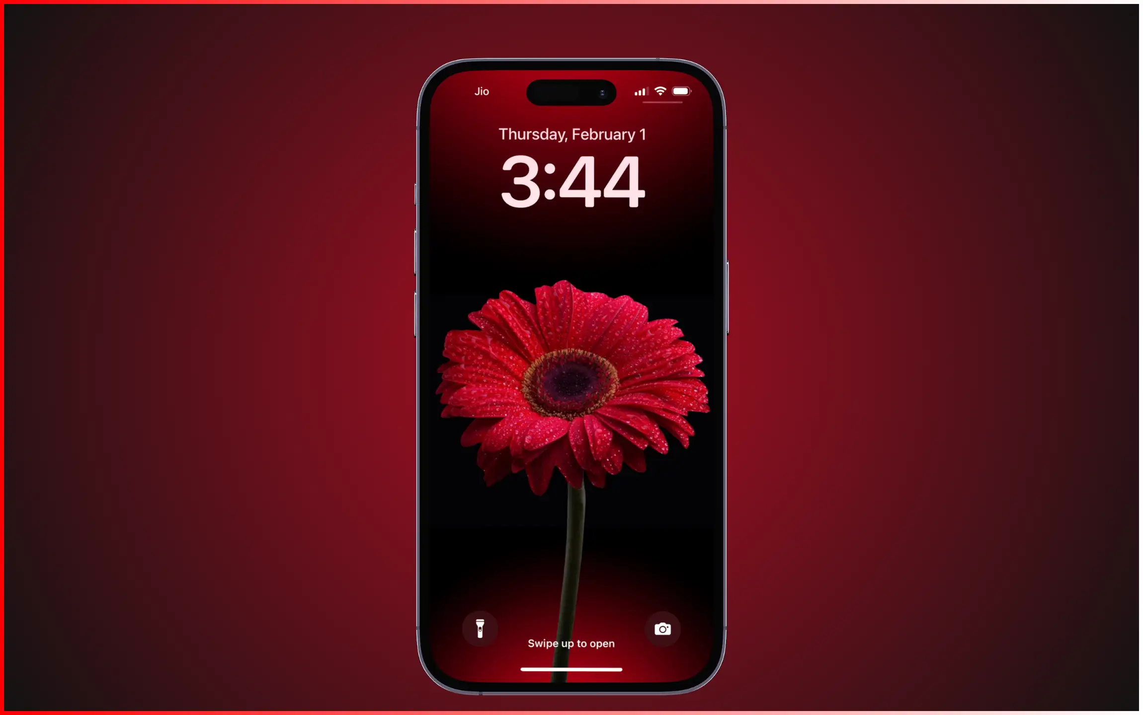Red Flower Wallpaper for iPhone