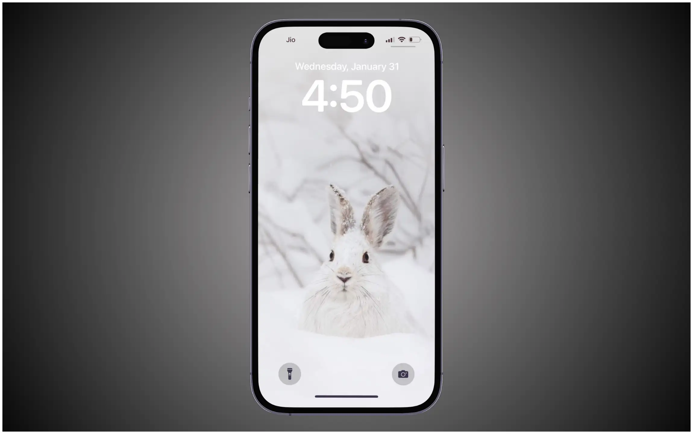 White Rabbit Wallpaper for iPhone
