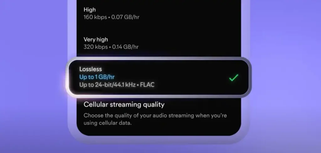 spotify lossless audio