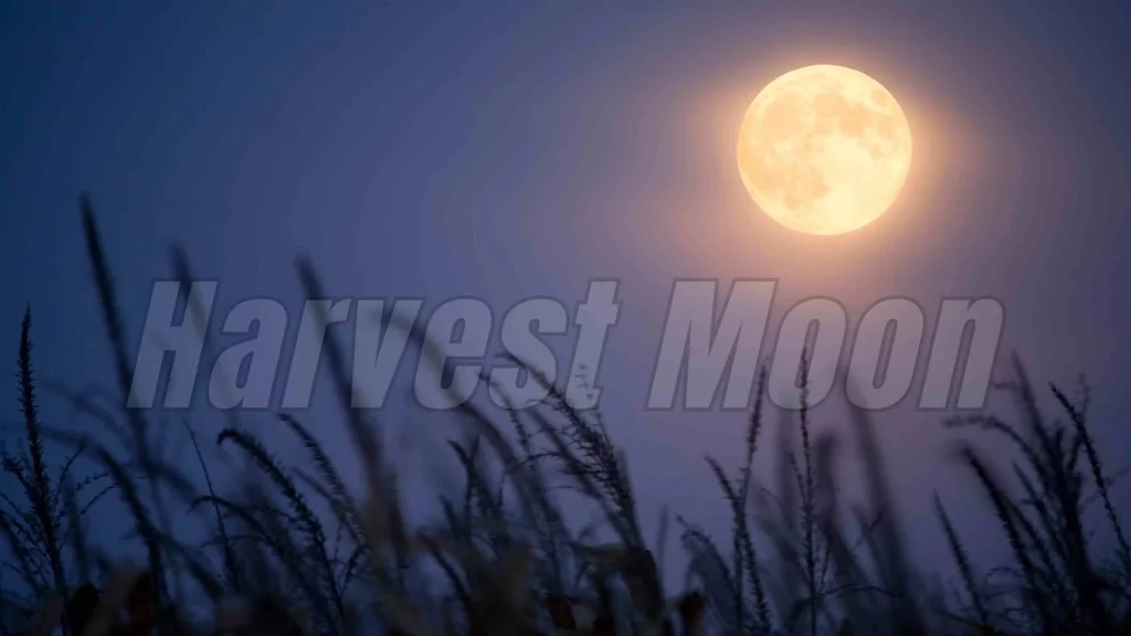 Harvest Moon