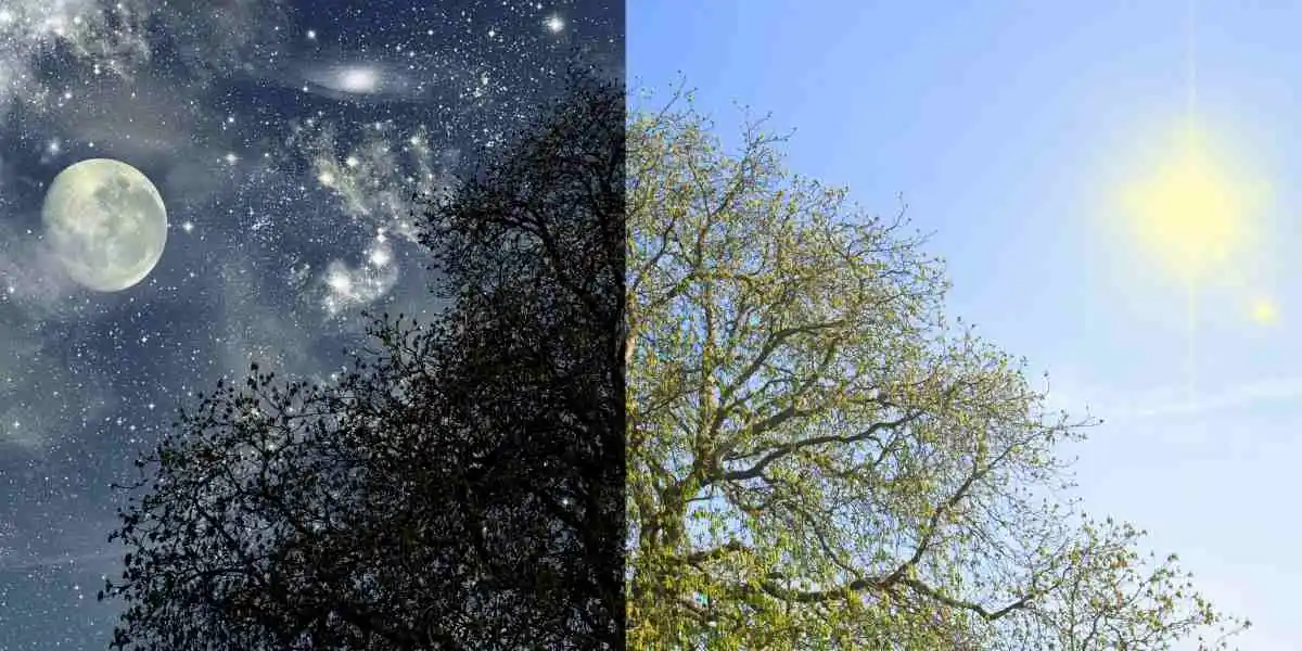 Harvest Moon vs Supermoon