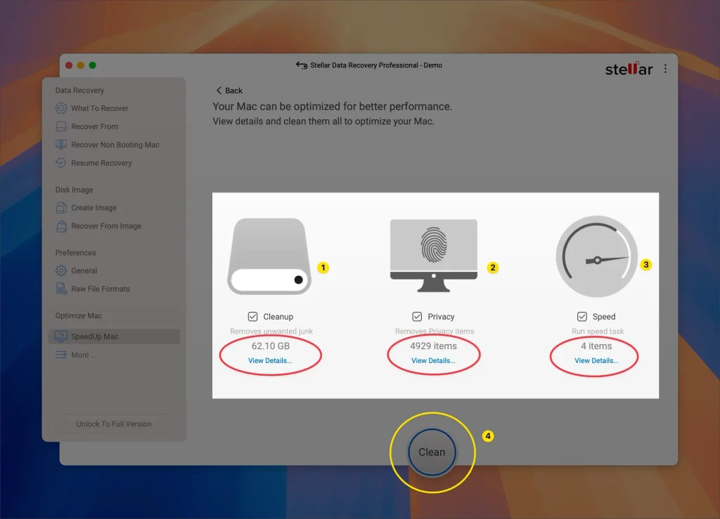 Clean Result on Mac StellarDataRecovery