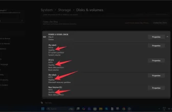 Properties in drive to check health of SSD on windows 11 computer