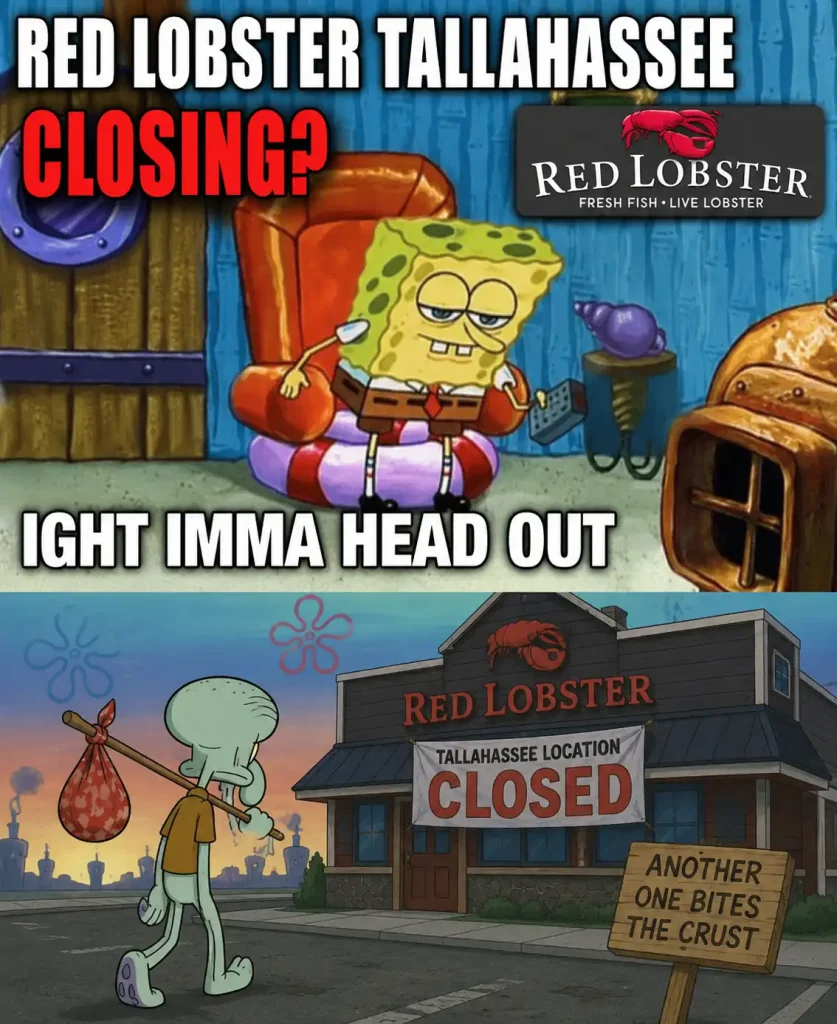 red lobster tallahassee closure memes picture 
