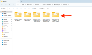 Backup folder