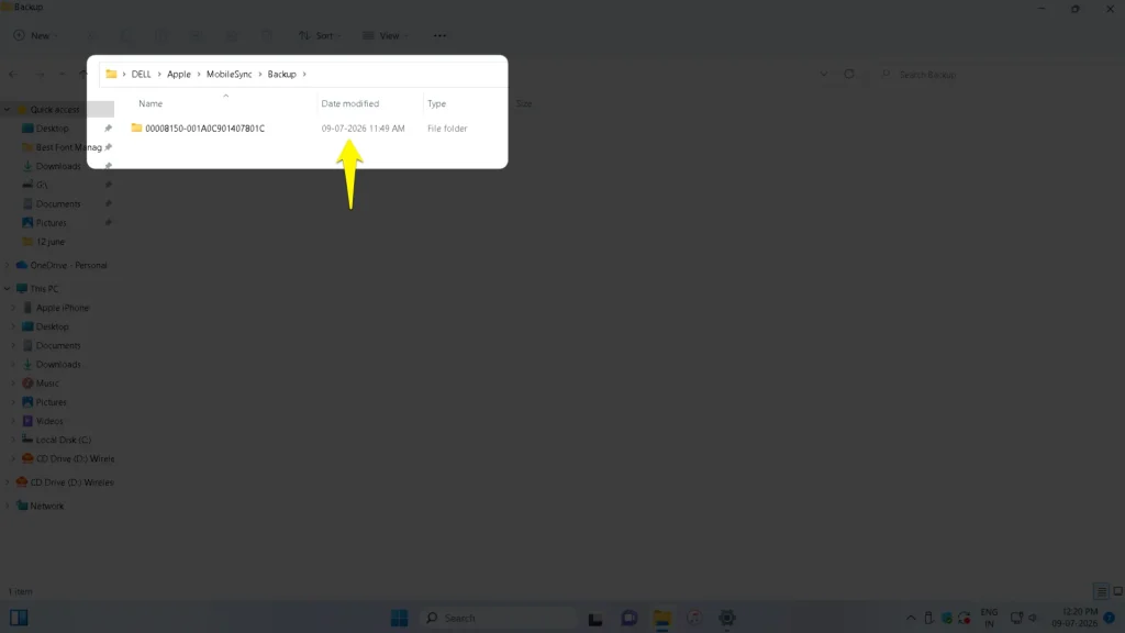 backup info