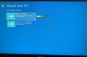 reset options choose