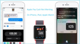 Fix Apple Pay Cash Not Working on iPhone (iOS 26 Updated)