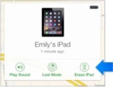 Remove apple Pay card remotely from iPhone on another device