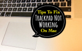 Fix MacBook Trackpad Not Working after tahoe 26 Update